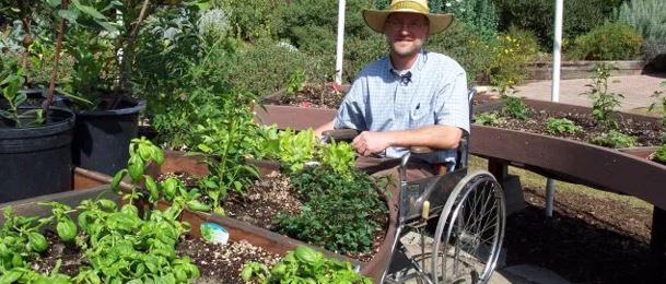 man in wheelchair planting herbs in garden in backyard of home