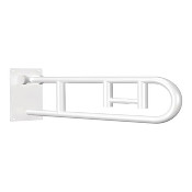 Flip-Up Grab Bar with Toilet Roll Holder